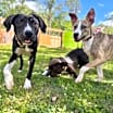 Thumbnail photo of Xyla the Confident Little Lady #2