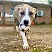 Thumbnail photo of Xyla the Confident Little Lady #3