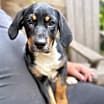 Thumbnail photo of Tippy #3