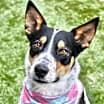 Thumbnail photo of Carson #1
