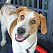 Thumbnail photo of Baylor #1