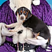 Thumbnail photo of Yates #4