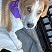 Thumbnail photo of Baylor #3