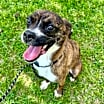 Thumbnail photo of Nova #1