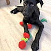 Thumbnail photo of Winky #1