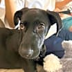 Thumbnail photo of Winky #2