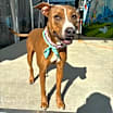Thumbnail photo of Janice #1