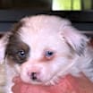 Thumbnail photo of Echo #3