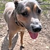 Thumbnail photo of Cooper #3
