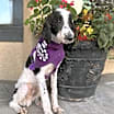 Thumbnail photo of Matthew #1