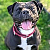 Thumbnail photo of Maddie #1