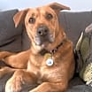 Thumbnail photo of Lola #1