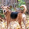 Thumbnail photo of Lola #3