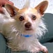 Thumbnail photo of Cloud #1