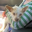 Thumbnail photo of Cloud #2