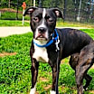 Thumbnail photo of Layla #1