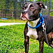 Thumbnail photo of Layla #2