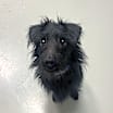 Thumbnail photo of Tatum #4
