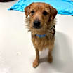 Thumbnail photo of Charlie #3