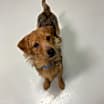 Thumbnail photo of Charlie #4