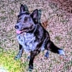 Thumbnail photo of Bingo #2