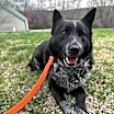 Thumbnail photo of Bingo #3