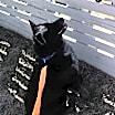 Thumbnail photo of Bingo #4