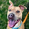 Thumbnail photo of Fred #3