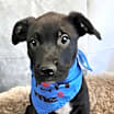 Thumbnail photo of Vince LK #4