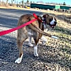 Thumbnail photo of Dora #2