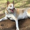 Thumbnail photo of Harper #3