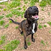 Thumbnail photo of Beverly #1