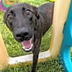 Thumbnail photo of Beverly #4