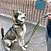Thumbnail photo of Daggett #2