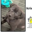 Thumbnail photo of Kristoff #2