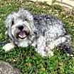 Thumbnail photo of Blue #3