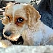 Thumbnail photo of Nelly #1