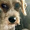 Thumbnail photo of Nelly #2
