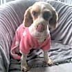 Thumbnail photo of Nelly #4