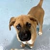 Thumbnail photo of Simba #2
