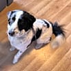 Thumbnail photo of Connie #1