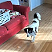 Thumbnail photo of Connie #2