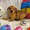 Thumbnail photo of Eeyore #4