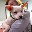 Thumbnail photo of Bree #3