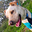 Thumbnail photo of HUERO #1