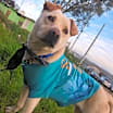 Thumbnail photo of HUERO #2