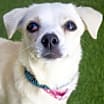 Thumbnail photo of Tootsie #1