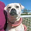 Thumbnail photo of Jericho #2
