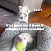 Thumbnail photo of Pearl #2