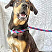 Thumbnail photo of Graham #1